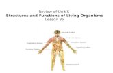 Review of Unit 5 Structures and Functions of Living Organisms Lesson 35.