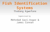 Fish Identification Systems Thabang Kgwefane Supervised by Mehrdad Gazi-Asgar & James Connan.