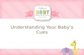 Understanding Your Baby’s Cues. Baby Cues Your baby was born with the ability to communicate with you right from birth!