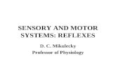 SENSORY AND MOTOR SYSTEMS: REFLEXES D. C. Mikulecky Professor of Physiology.