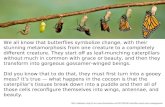 We all know that butterflies symbolize change, with their stunning metamorphosis from one creature to a completely different creature. They start off as.