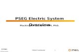 PSE&G Confidential1 PSEG Electric System Overview Mackington Joseph, MSM, PhD.