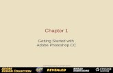 Chapter 1 Getting Started with Adobe Photoshop CC.