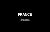 FRANCE by sophia. Loading... French flag sil vous plait=please bonjour=hello elle=girl The capital of France is Paris. fille =boy.