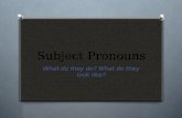Subject Pronouns What do they do? What do they look like?