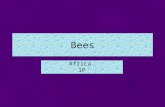 Bees Africa. 1P. This is a life cycle of a bee First comes the egg and then after the egg the egg hatches to a larvae. Then the larvae sleeps inside of.