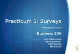 Practicum 1: Surveys February 14, 2013 Business 306 Vinny DeLorenzo Kevin Durham Matt Welling Mike Gross.