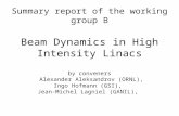 Summary report of the working group B Beam Dynamics in High Intensity Linacs by conveners Alexander Aleksandrov (ORNL), Ingo Hofmann (GSI), Jean-Michel.