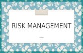 RISK MANAGEMENT YULVI. Introduction Time Quality Cost Project Constraints Success Introduction.