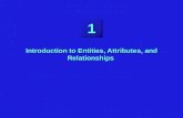 11 Introduction to Entities, Attributes, and Relationships.