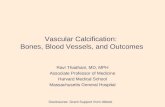 Vascular Calcification: Bones, Blood Vessels, and Outcomes Ravi Thadhani, MD, MPH Associate Professor of Medicine Harvard Medical School Massachusetts.