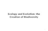 Ecology and Evolution: the Creation of Biodiversity 1.