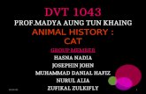 DVT 1043 PROF.MADYA AUNG TUN KHAING ANIMAL HISTORY : CAT GROUP MEMBER HASNA NADIA JOSEPHIN JOHN MUHAMMAD DANIAL HAFIZ NURUL ALIA ZUFIKAL ZULKIFLY 05/01/20161.