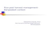 Rice post harvest management- Bangladesh context Debashish Chanda, Ph.D Post Harvest & Business Model Specialist IRRI Bangladesh.