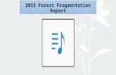 2015 Forest Fragmentation Report. FOREST VALUES VERMONT’S FORESTS WORK FOR ALL Photos © Susan C. Morse.