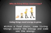 Within a food chain, some living things create the energy and some use the energy.