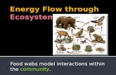 Food webs model interactions within the community.