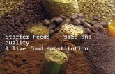 Starter Feeds – size and quality & live food substitution.