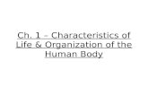 Ch. 1 – Characteristics of Life & Organization of the Human Body.