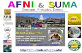 –1– S AFNI & SUMA Concepts, Principles, Demos .