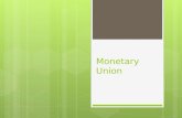 Monetary Union.  An advanced stage of trading arrangements including free trade between members, common external barriers, free movement of factors,