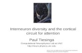 Interneuron diversity and the cortical circuit for attention Paul Tiesinga Computational Neurophysics Lab at UNC  Title art: