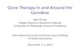 Gene Therapy In and Around the Germline Kyle Orwig Magee-Womens Research Institute University of Pittsburgh School of Medicine International Summit on.