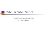 WML & WML Script Presented by Kelvin Liu 01/06/2000.