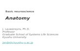 J. Lauwereyns, Ph.D. Professor Graduate School of Systems Life Sciences Kyushu University jan@sls.kyushu-u.ac.jp Basic neuroscience Anatomy.