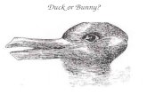 Duck or Bunny?. Witch or Young Lady? Vase or Faces?