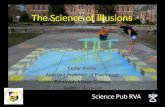 The Science of Illusions May 7, 2013 Cedar Riener Assistant Professor of Psychology Randolph-Macon College Twitter: @criener Science Pub RVA.