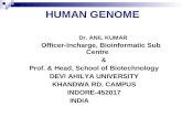 HUMAN GENOME Dr. ANIL KUMAR Officer-Incharge, Bioinformatic Sub Centre & Prof. & Head, School of Biotechnology DEVI AHILYA UNIVERSITY KHANDWA RD. CAMPUS.