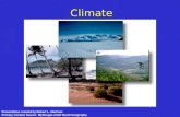 Climate Presentation created by Robert L. Martinez Primary Content Source: McDougal Littell World Geography.