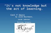 “It’s not knowledge but the act of learning.” By Jacob Maschmann, Jacob Johnson, Britney Scheetz Carl F Gauss.