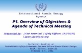 International Atomic Energy Agency Technical Meeting on Probabilistic Safety Assessment for New Nuclear Power Plants’ Design IAEA, Vienna, Austria October.