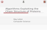 Algorithms Exploiting the Chain Structure of Proteins Itay Lotan Computer Science.