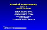 Practical Neuroanatomy Lecture 2 Christine Hulette MD CORTICOSPINAL TRACT CORTICOBULBAR TRACT EXTRAPYRAMIDAL SYSTEM VESTIBULAR SYSTEM CEREBELLUM AUTONOMIC.