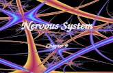 Nervous System Chapter 9. Functions Stimulate all movement Receive sensory input Store and integrate information Maintain homeostasis.