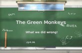 The Green Monkeys The Green Monkeys What we did wrong!