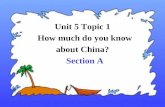 Unit 5 Topic 1 How much do you know about China? Section A.