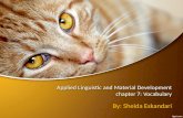 Applied Linguistic and Material Development chapter 7: Vocabulary By: Sheida Eskandari.