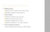 Materials:  PICK UP A COPY OF THE LAB  Notes pages and pencil  The Plan:  Macromolecule review  Macromolecule Quiz  Begin Eggcellent Lab  Take.