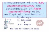 A measurement of the B 0 B 0 oscillation frequency and determination of flavor-tagging efficiency using semileptonic and hadronic B 0 decays S. Bolognesi.