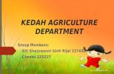 KEDAH AGRICULTURE DEPARTMENT Group Members: Siti Shazzwanni binti Rijal 227430 Chenlei 225227.