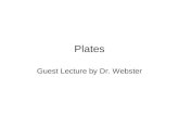 Plates Guest Lecture by Dr. Webster. Vocabulary of the Day Asthenosphere Continental crust Convergent margin Divergent margin Earthquake Lithosphere Oceanic.