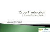 Level II Agricultural Business Operations.  Understand and identify the key crop production targets  Be able to state performance targets for individual.
