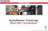 World Leaders in Combustion Management Solutions Mini Mk7 Evolution  Autoflame Training Mini Mk.7 Evolution.