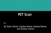 PET Scan By Taylor Fischer, Hayden Howrie, Desirae Reimer, and Kassidy Urichuk.