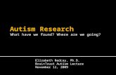 What have we found? Where are we going? Elizabeth Redcay, Ph.D. BrainTrust Autism Lecture November 12, 2009.