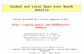Global and Local Dust over North America Initial Assessment by a Virtual Community on Dust  Coordinated by R.